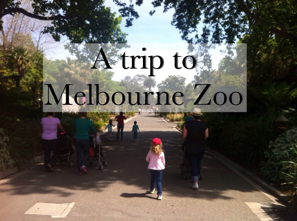 Melbourne Zoo
