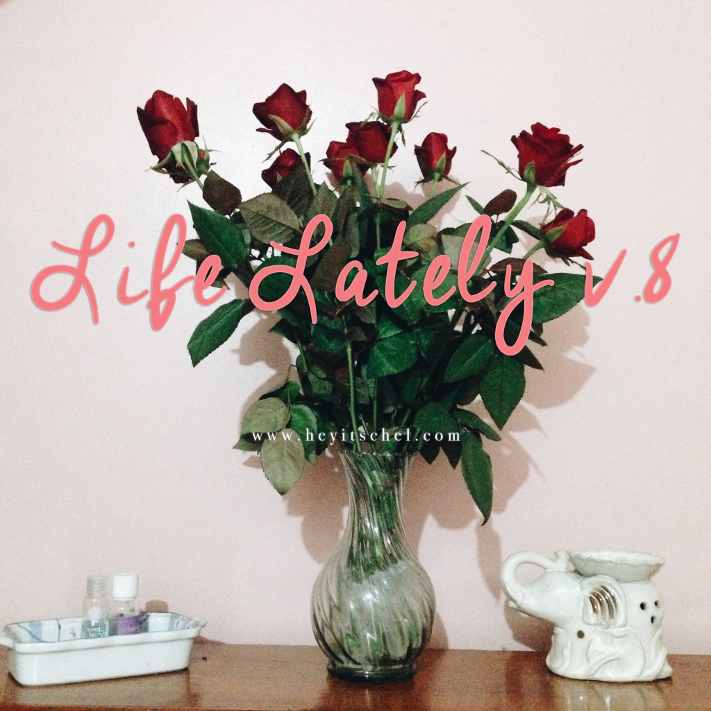 Life Lately - Hey it's Chel